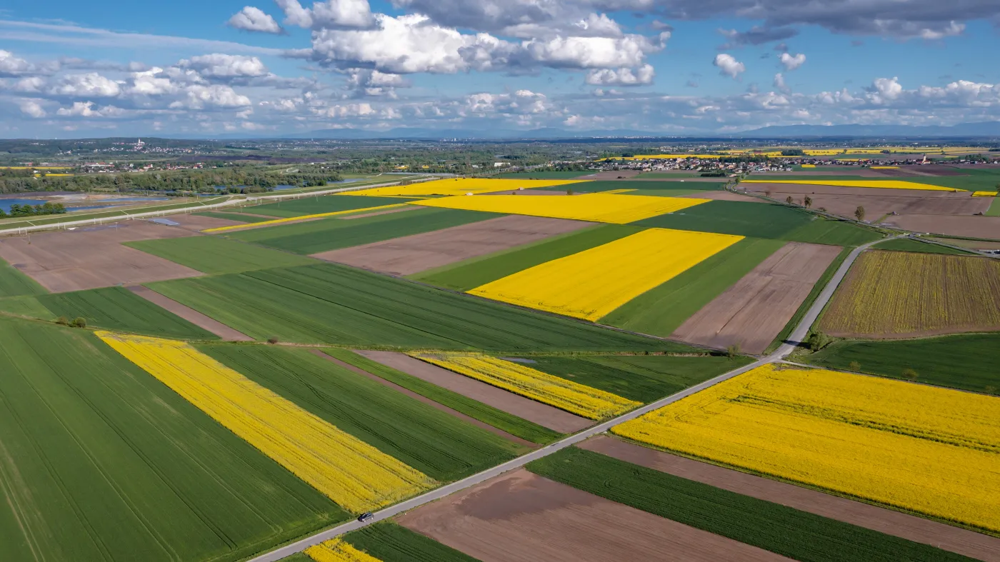 Państwo jest największym polskim "obszarnikiem"? Ile gruntów posiada? DANE