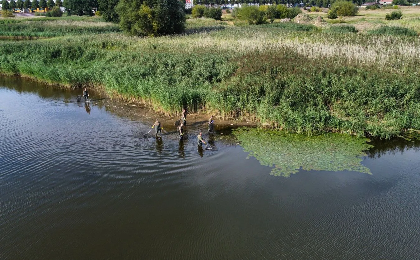 Skażenia Odry. "Płyn Lugola nie jest lekiem na zatrucia chemiczne"
