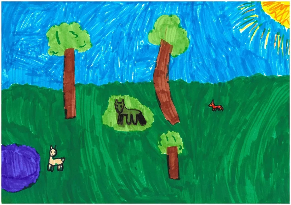 Dlaczego i dla kogo drzewa są ważne? [galeria]