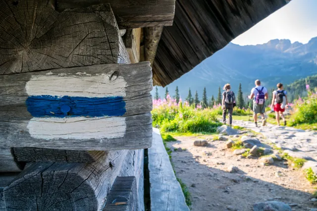 Co oznaczają kolory szlaków turystycznych? Nie popełnij popularnego błędu