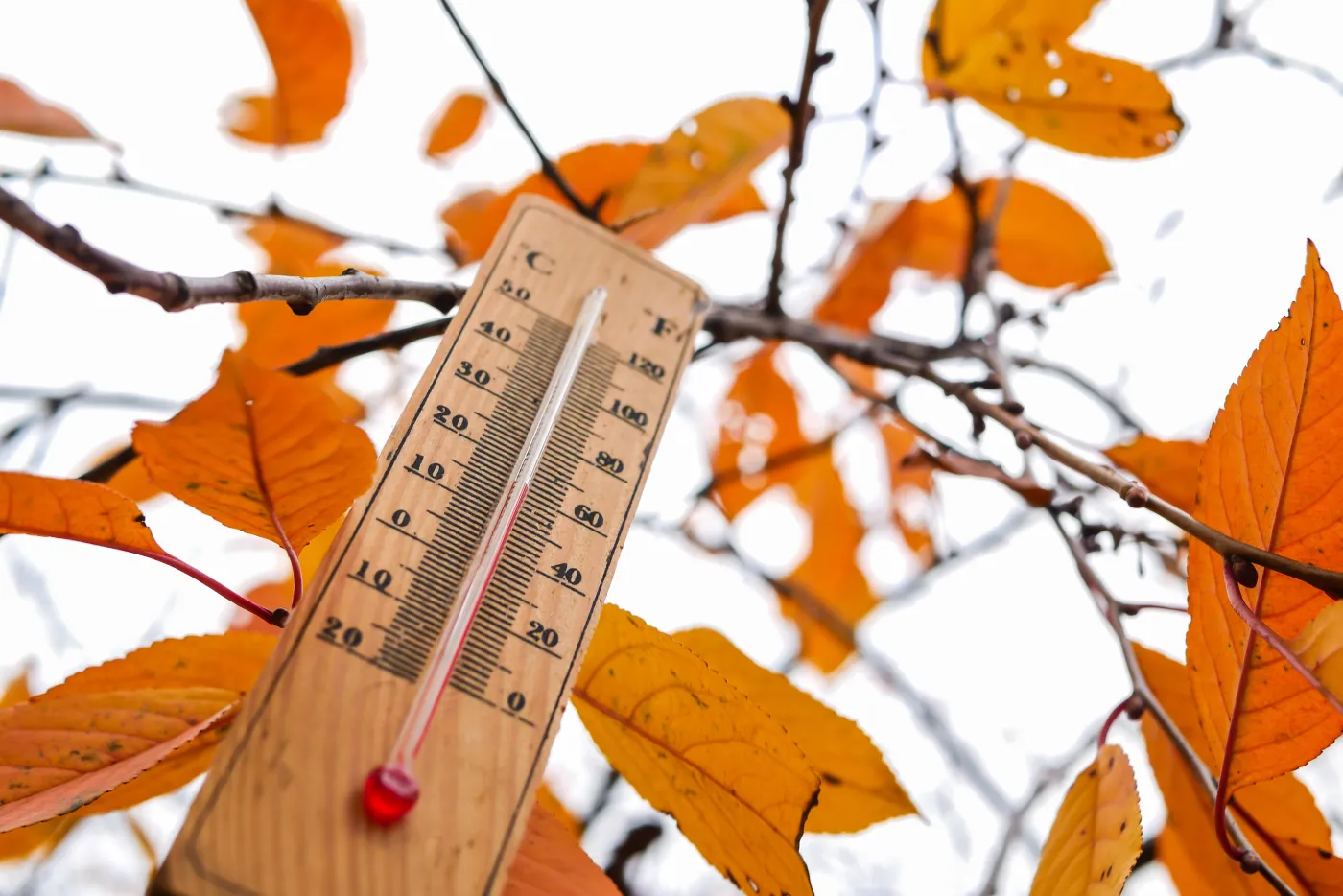 Niż znad Atlantyku wkroczył do Polski. Prognoza pogody na wtorek, 4 listopada