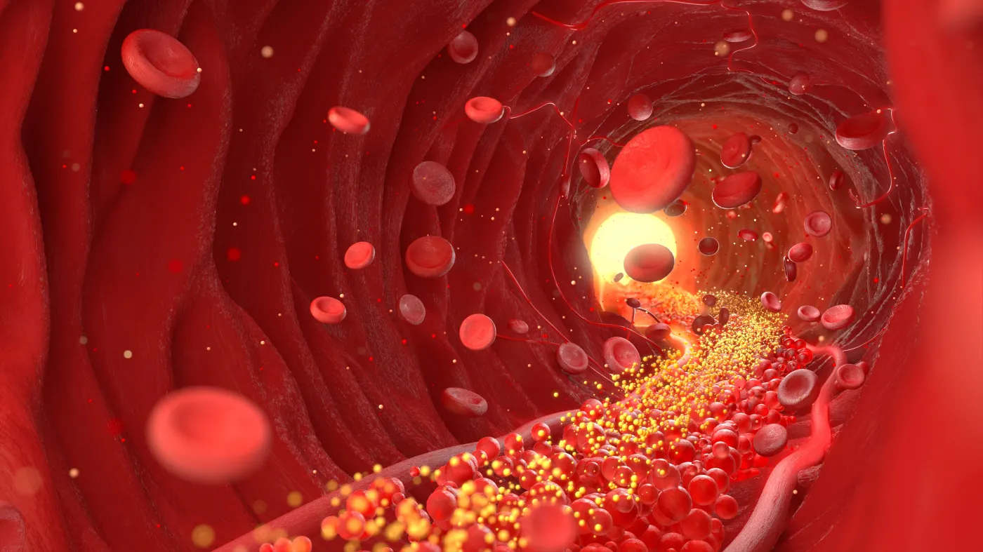 Ukryta cząsteczka krwi może być kluczem do długowieczności