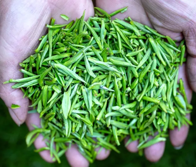 Pij 2 szklanki każdego dnia. Pomoże zbić wysoki cukier