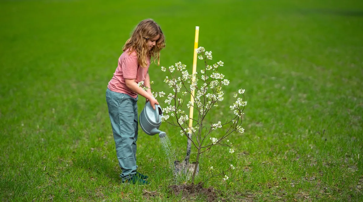 jakie drzewa owocowe sadzić wiosną kwiecień ogród