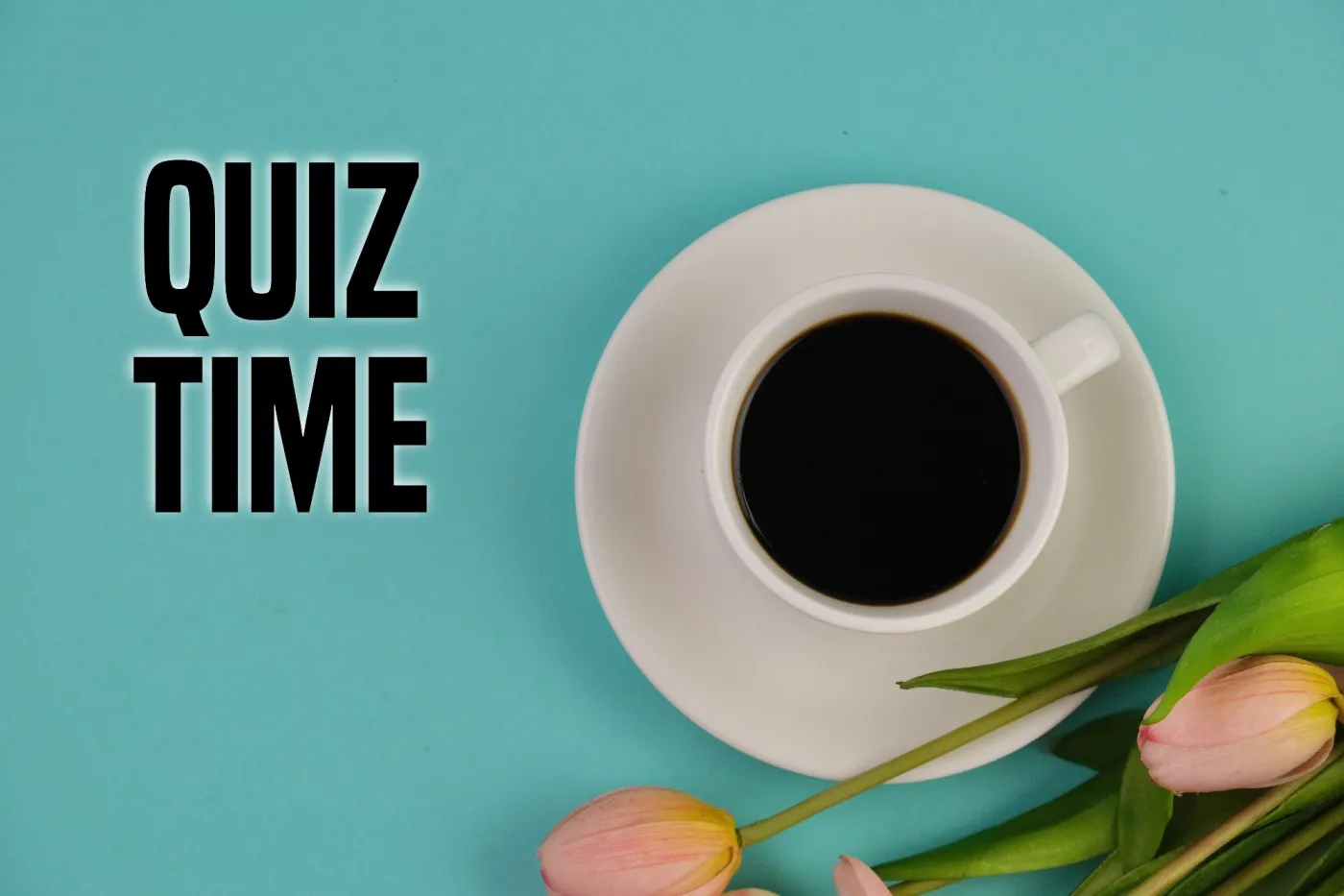 Quiz z wiedzy ogólnej. Matura nie wystarczy, by zdobyć więcej niż 7/12. Dla magistra to pestka