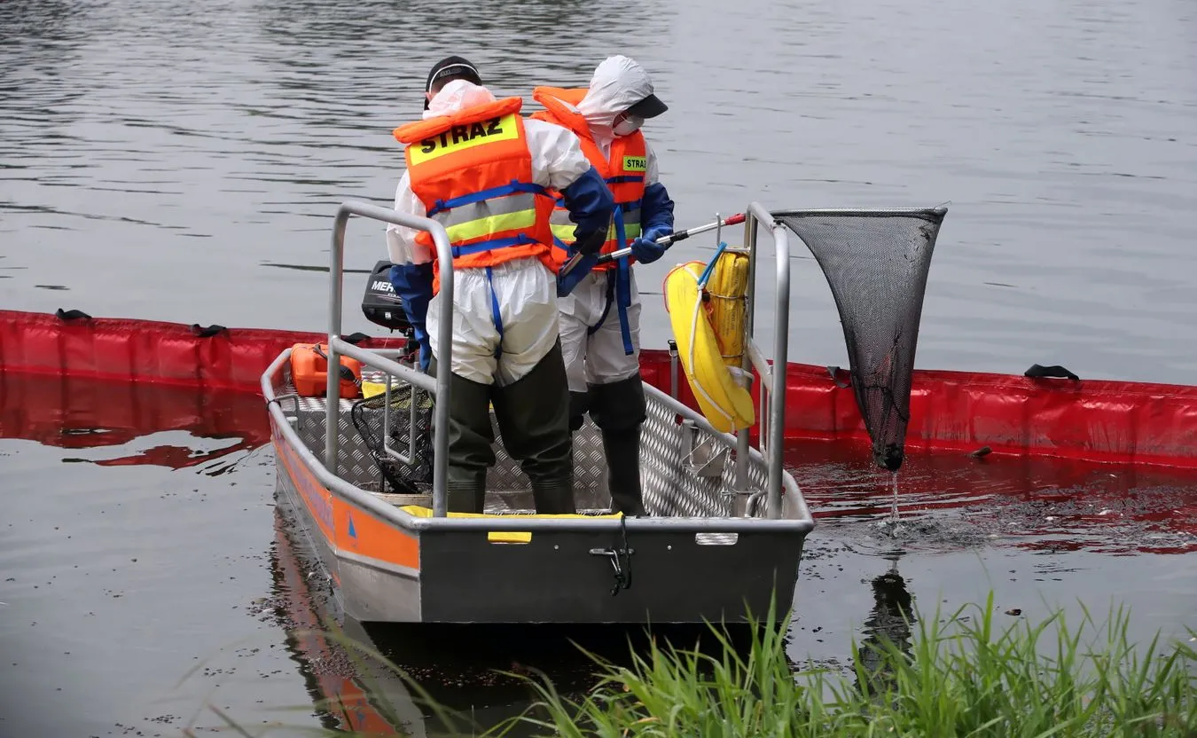 W końcu dobre wieści znad Odry. Wykryto żywe ryby