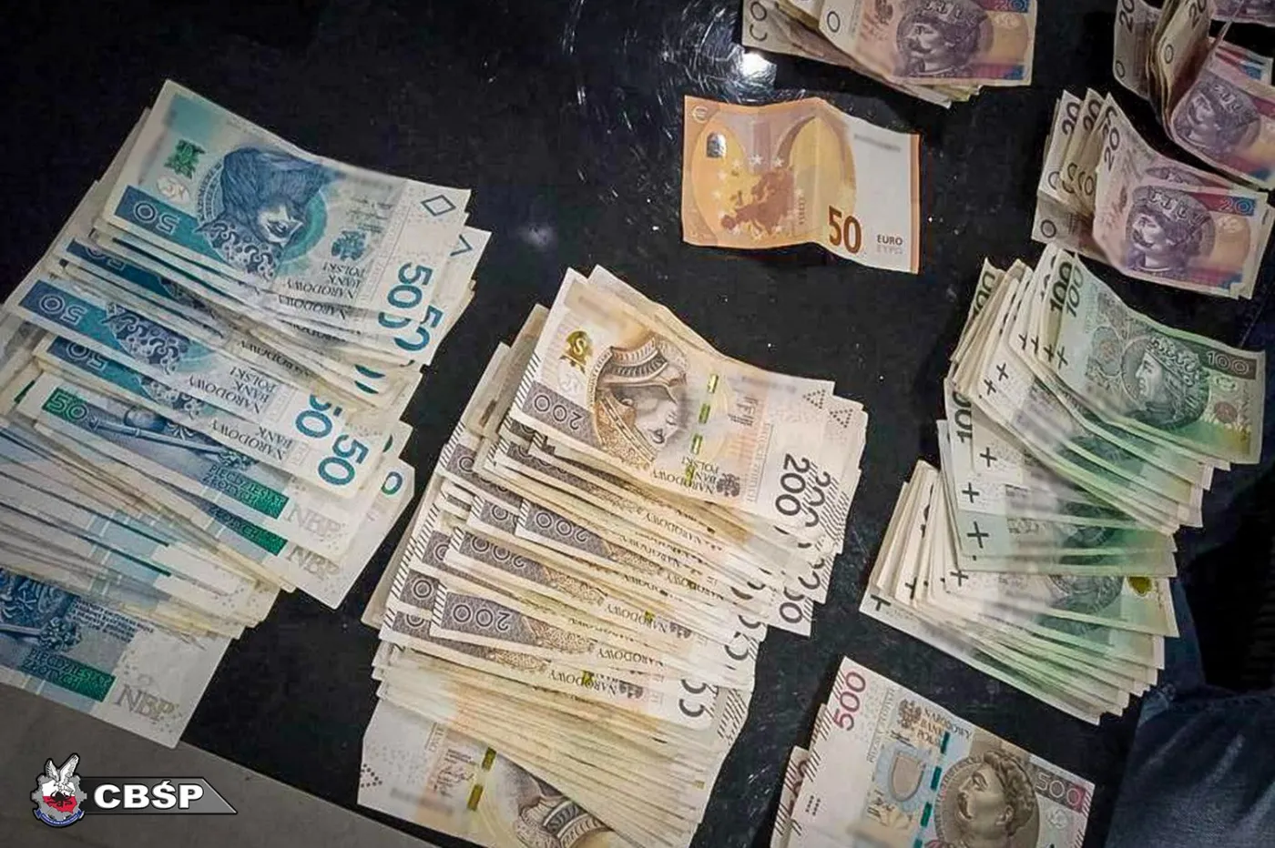 Złodzieje z Polski postrachem w Niemczech. Kradli "na komputer"