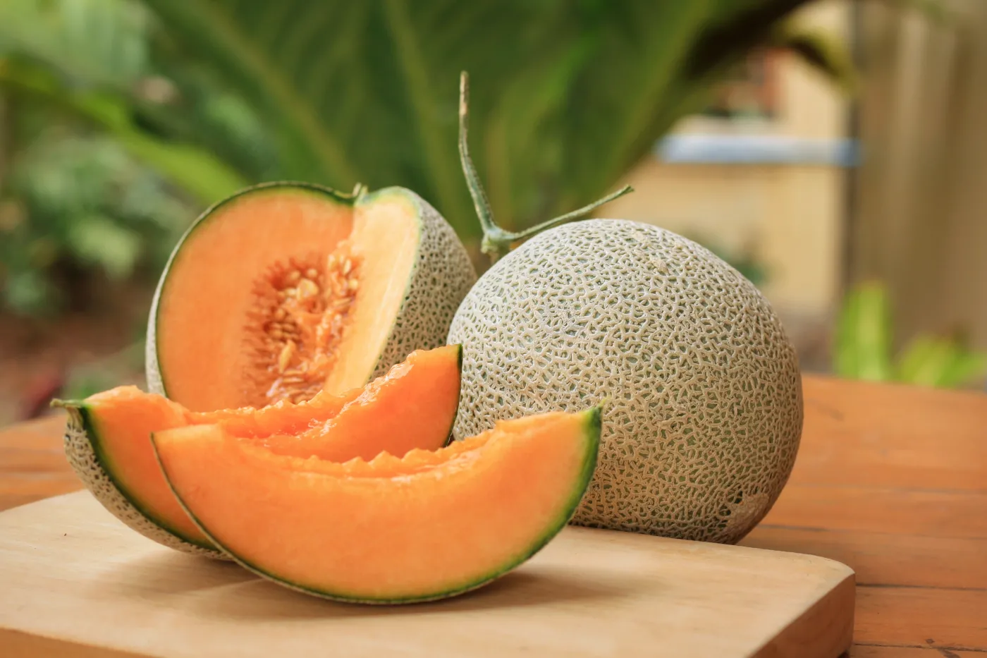 melon melony owoc owoce dieta 