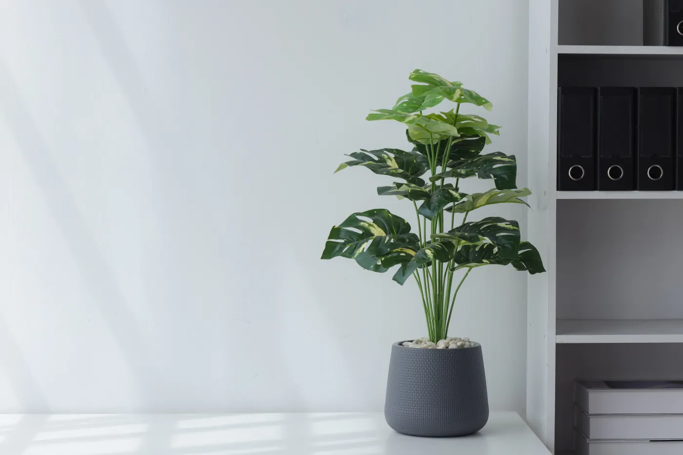 A,Pot,Of,Green,Plants,Is,Placed,In,A,White