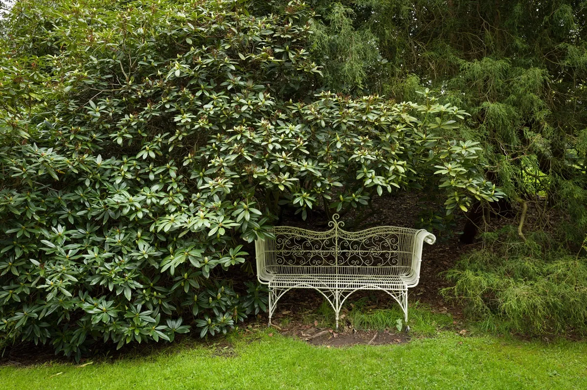 Kilka praktycznych pomysłów na zacienione miejsce w ogrodzie