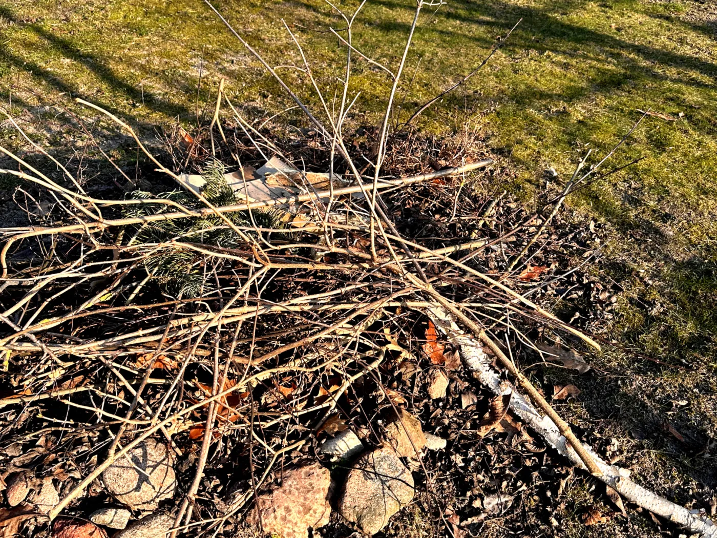 Palenie gałęzi na własnej działce 2026 - co mówią przepisy? Czy można palić gałęzie na własnej posesji?