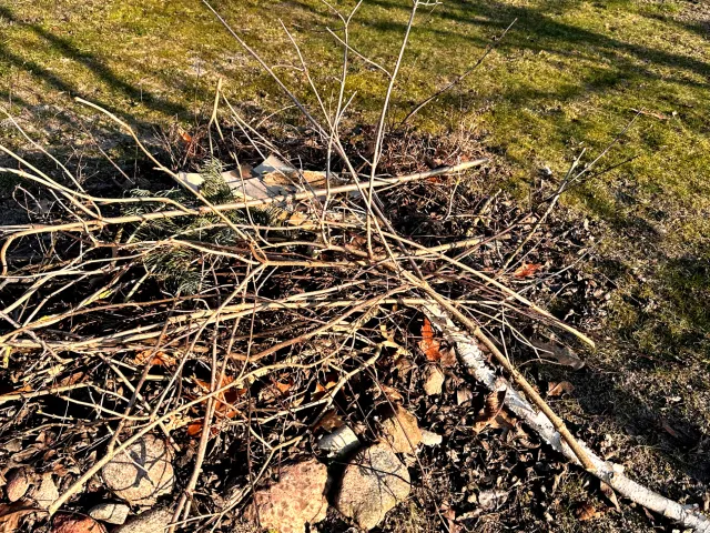 Palenie gałęzi na własnej działce 2026 - co mówią przepisy? Czy można palić gałęzie na własnej posesji?