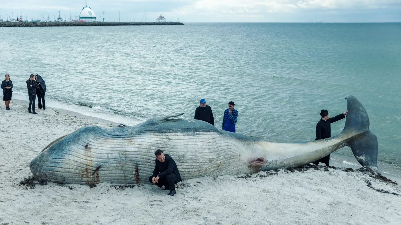 Finwal na plaży w pierwszym odcinku serialu "Scheda"