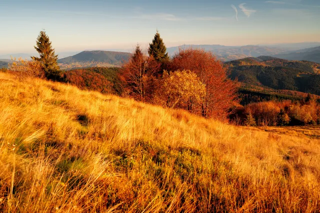 Babie lato w Polsce 2025. Kiedy nadejdzie? Oto prognoza pogody na październik. Czy doczekamy się "złotej polskiej jesieni"? Wiemy już, kiedy nastąpią te pogodne i ciepłe dni!
