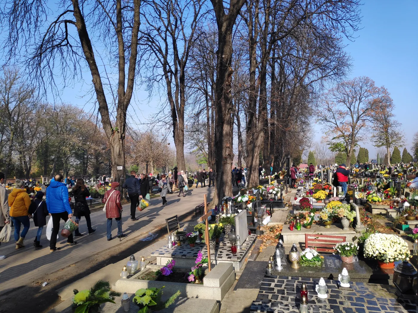 Słońce, deszcz czy śnieg? Jaka pogoda będzie na Wszystkich Świętych? [PROGNOZA DŁUGOTERMINOWA]