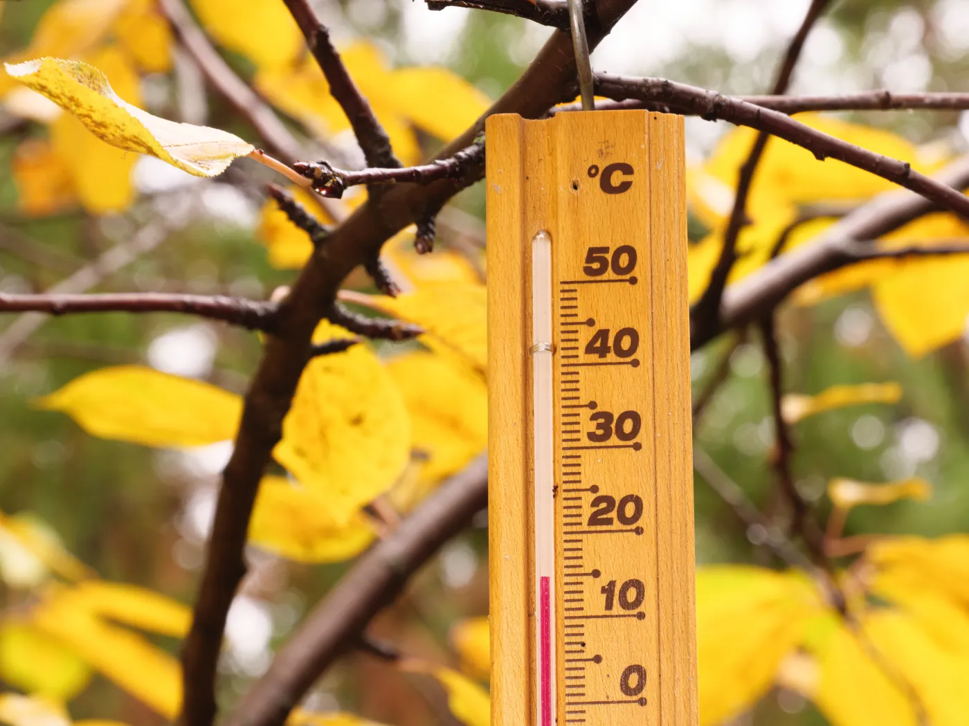 Czekają nas rekordowe anomalie pogodowe i termiczne w listopadzie! Ciepłe powietrze ze strefy zwrotnikowej w drodze. Kiedy spodziewać się ocieplenia?