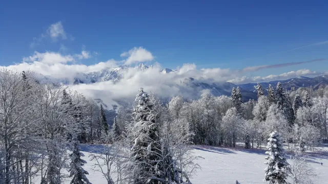 Arktyczny atak zimy we wtorek 6.01. Mróz do -30°C i potężne śnieżyce sparaliżują Polskę. Prognoza na styczeń 2026