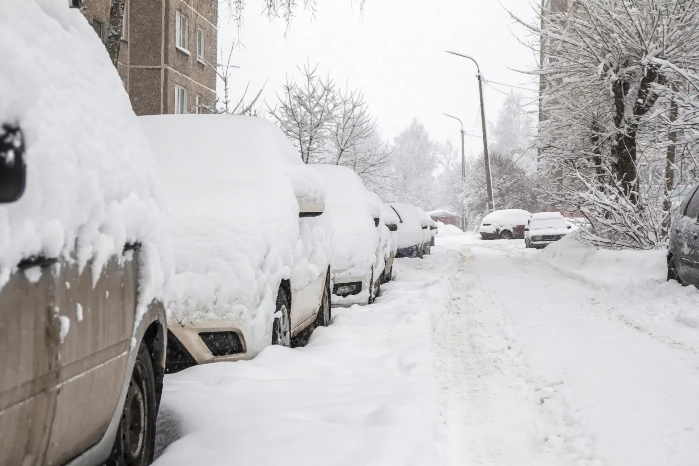 Alarm IMGW dla ośmiu województw. Ostrzegają przed silnym mrozem. Gdzie będzie -18 stopni?