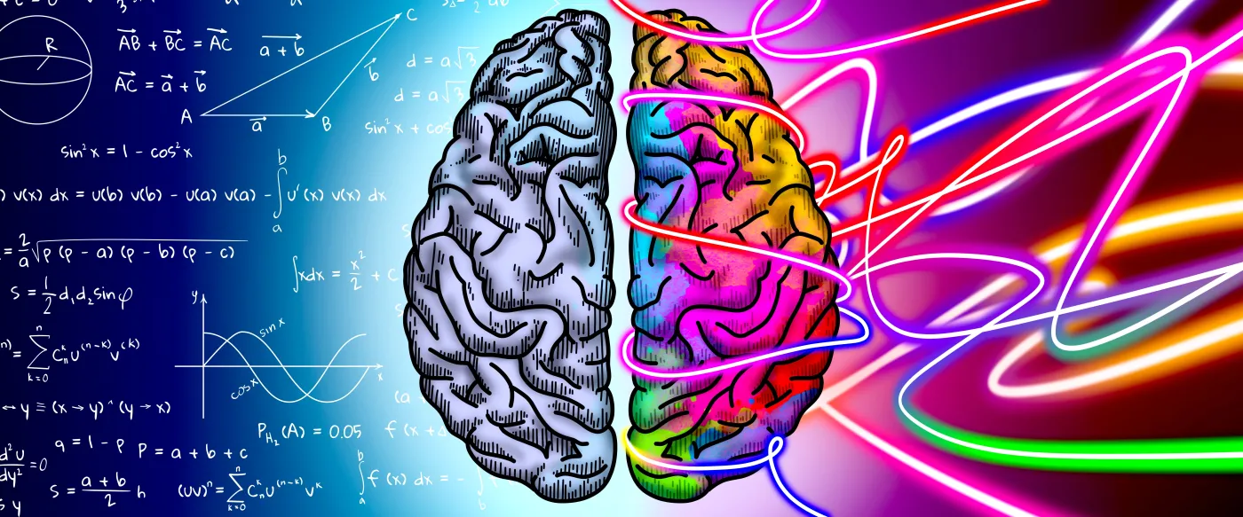 Logic,And,Creativity.,Illustration,Of,Brain,Hemispheres,,Banner,Design.,Different