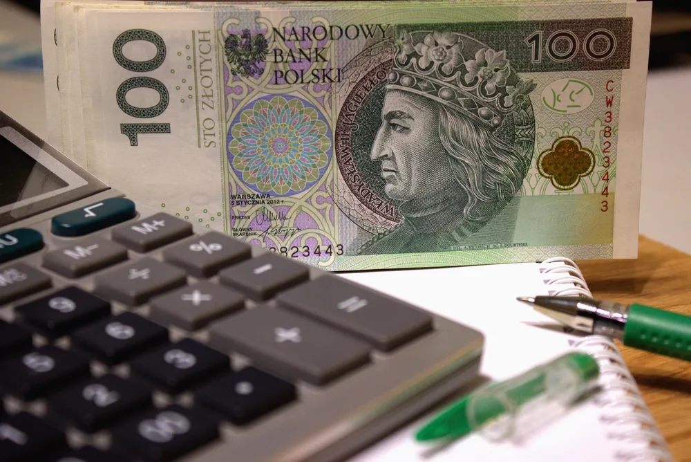 Wzmianki o upadłości znikną z BIK? Wiceszef ZBP: Nigdy się na to nie zgodzimy