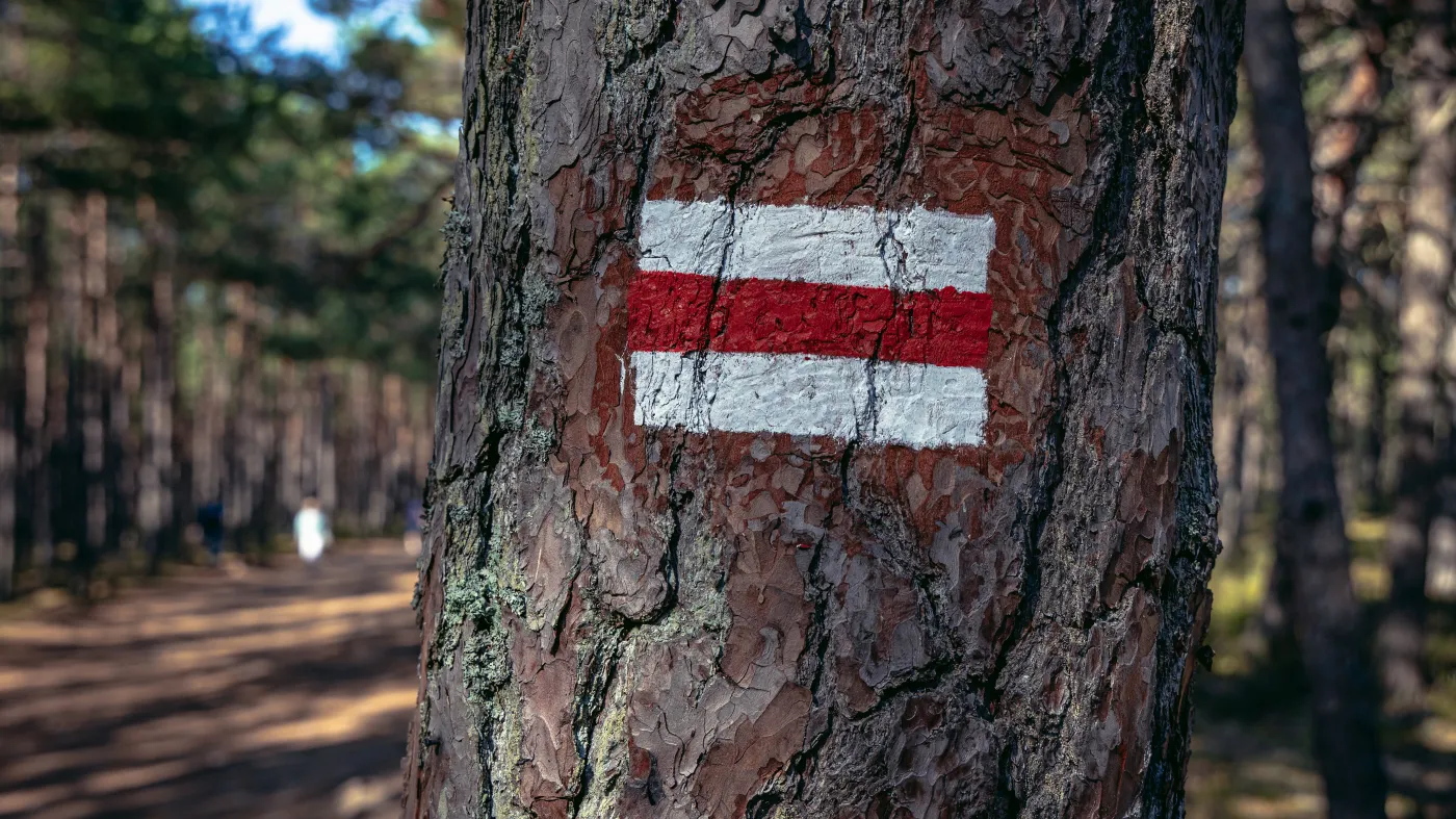 W Mławie powstanie szlak walk wrześniowych 1939 r.