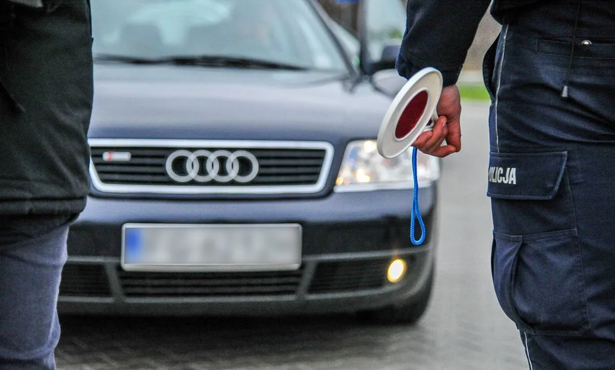 swiatla-do-kontroli-akcja-policji-na-polskich-drogach-37609953.jpg