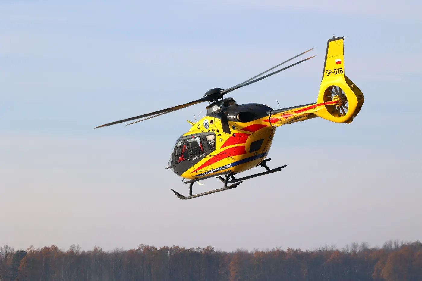 Groźny wypadek na Lubelszczyźnie. Pięć osób w szpitalu