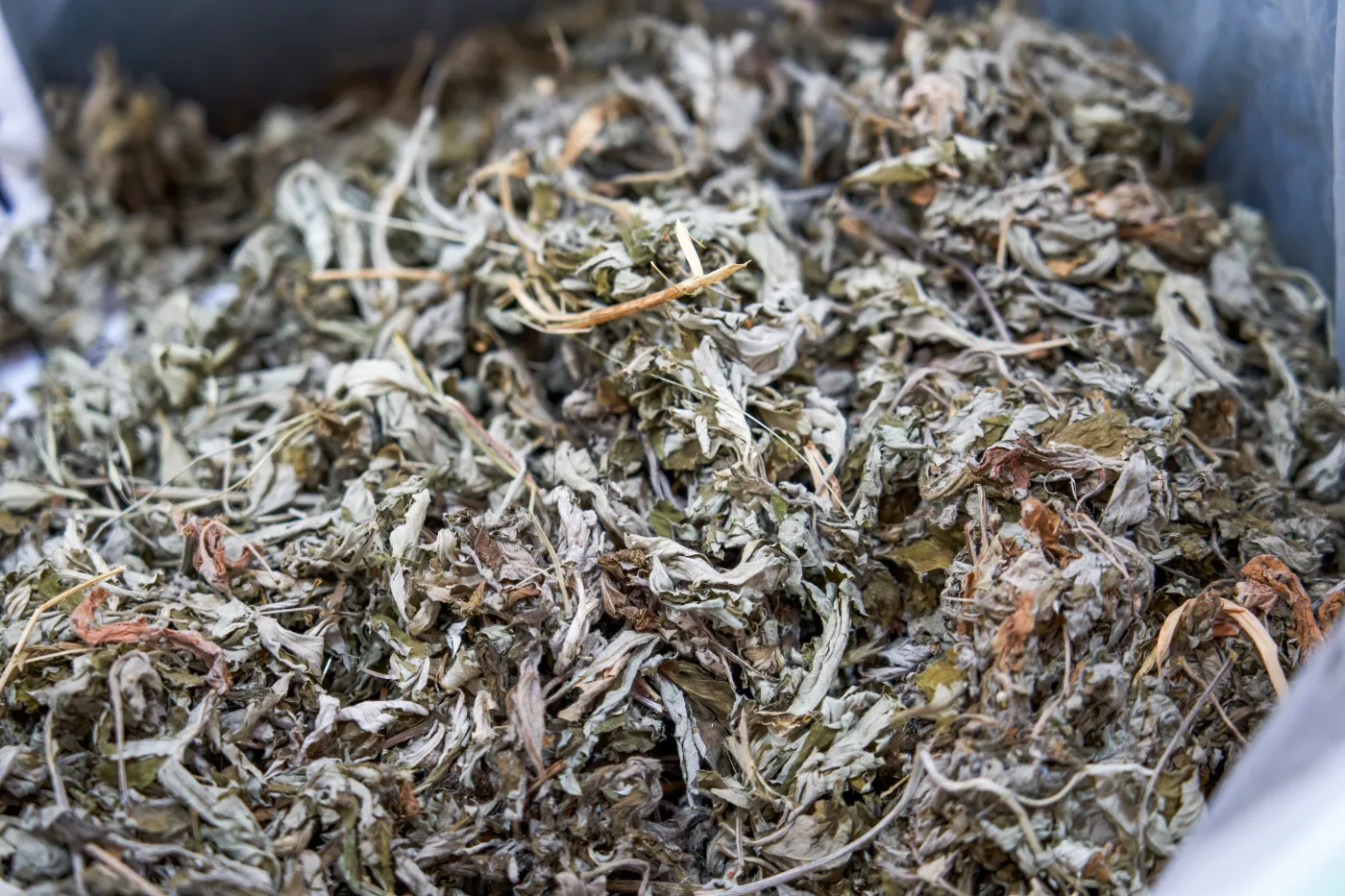 Close-up,Of,Mugwort,And,Mugwort,Leaves,Sold,In,Chinese,Herbal