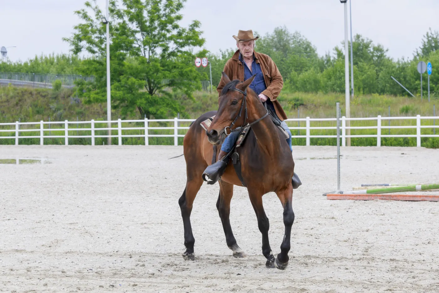 Daniel Olbrychski chodzi o kulach. Aktor jest po operacji