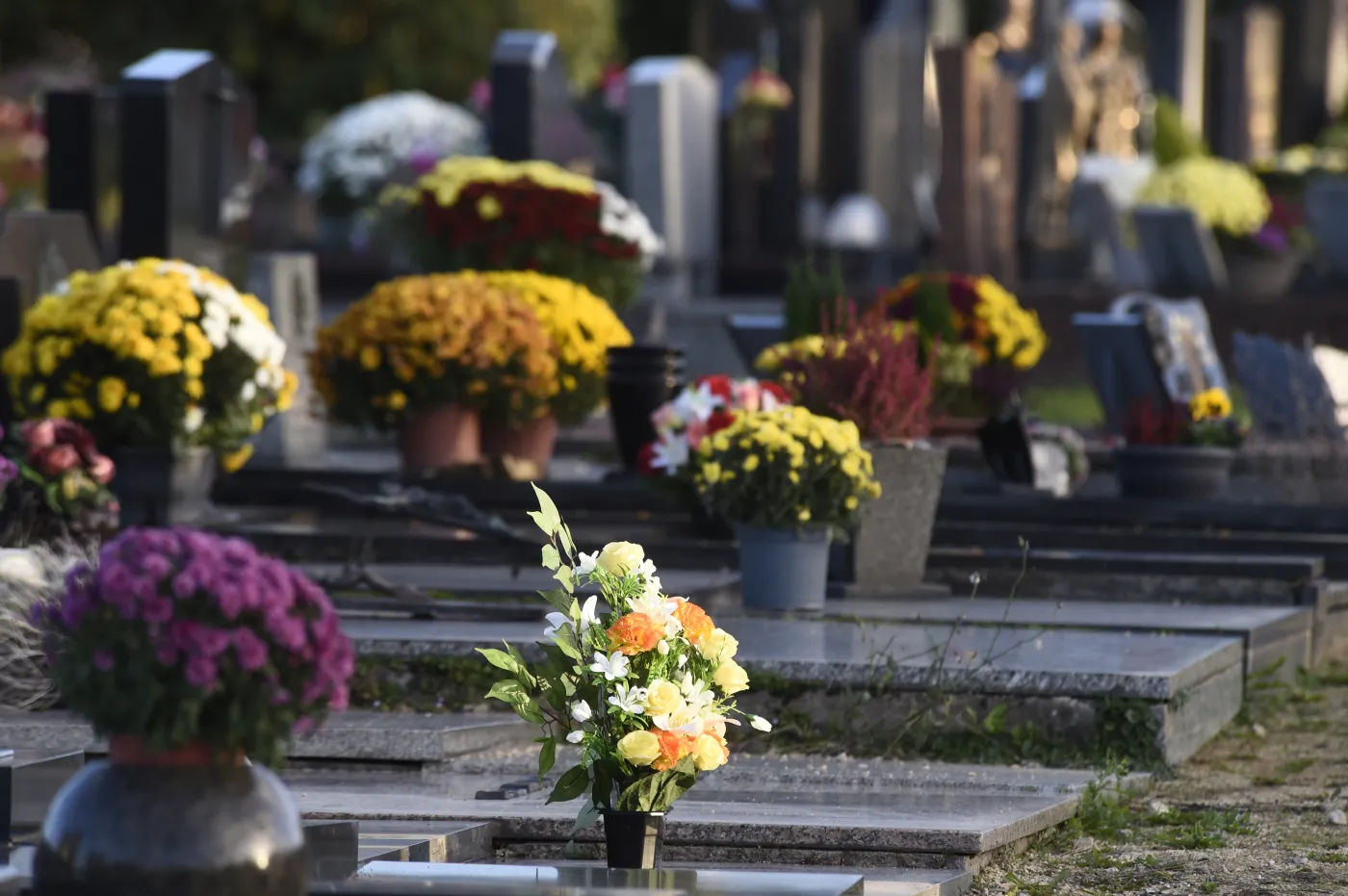Ceny kwiatów na cmentarz przed 1 listopada 2025 roku. Ile kosztują żywe, a ile sztuczne kwiaty na cmentarz przed Wszystkimi Świętymi? Ceny wyższe niż w latach poprzednich...