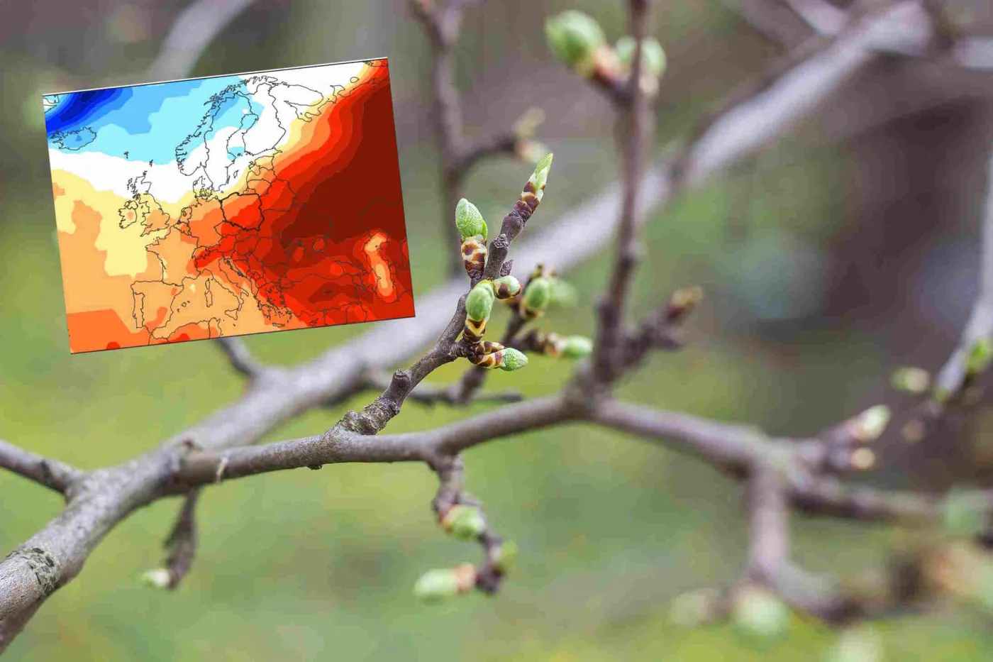 Nagły zwrot w pogodzie. Nadchodzi fala ciepłego powietrza i wiosenne słońce. Termometry wystrzelą w górę