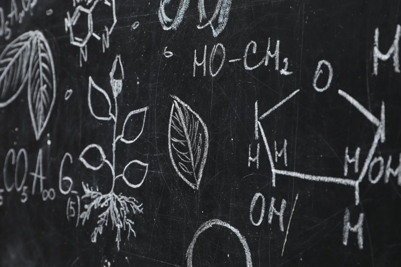 QUIZ. Proste pytania z biologii. Niektóre są z matury. 6/12 to minimum