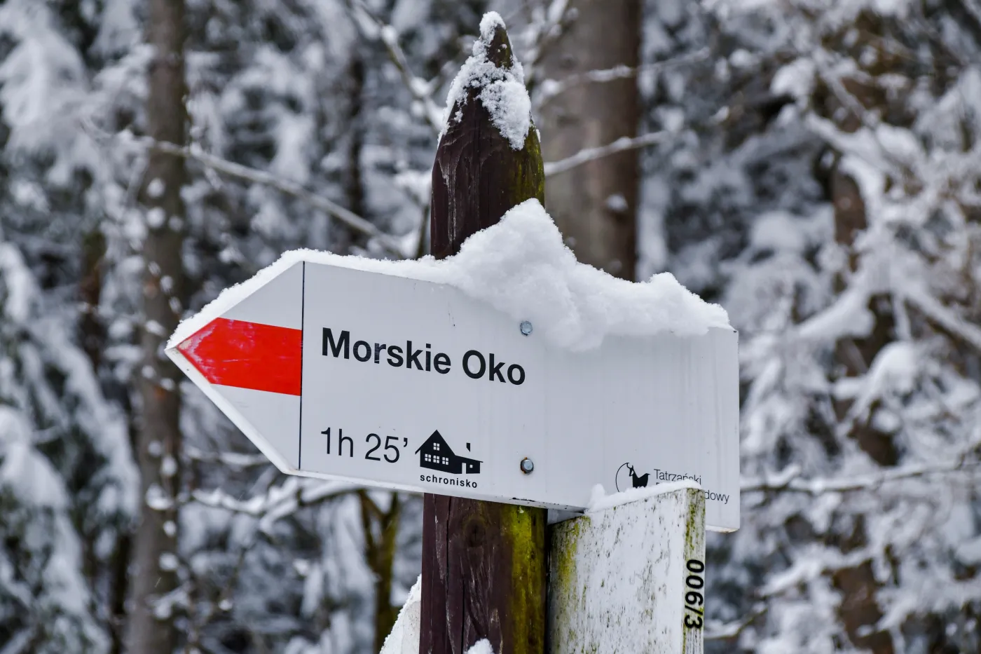 Zakopane,,Poland.,Nov22,,2025.,Tatra,National,Park,In,Poland.,Road
