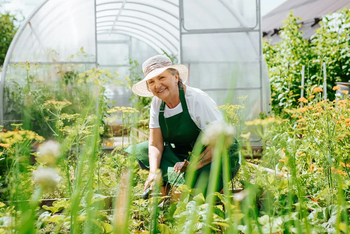 jakich warzyw nie sadzić obok siebie warzywnik warzywa