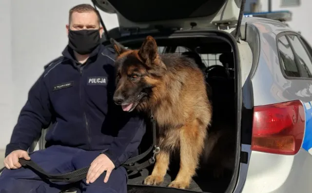 Zasłużony pies policyjny Alex odszedł na emeryturę. Zamieszkał z opiekunem