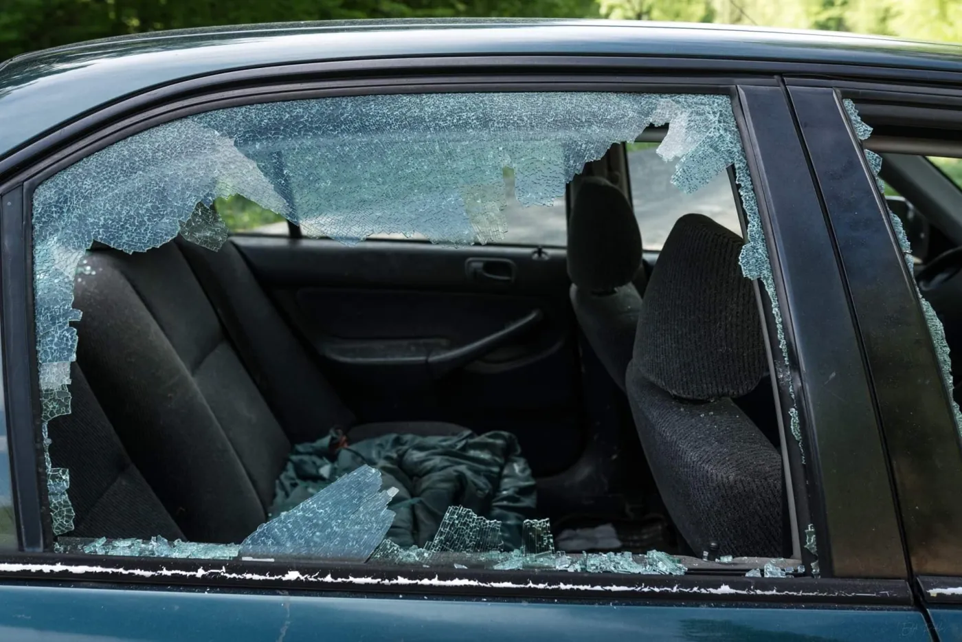 Atak na ekologów w Puszczy Karpackiej. Kobieta pobita kijem bejsbolowym