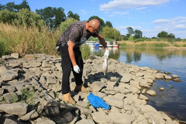 Całkowity zakaz połowu ryb w Odrze. Pilna uchwała województwa zachodniopomorskiego