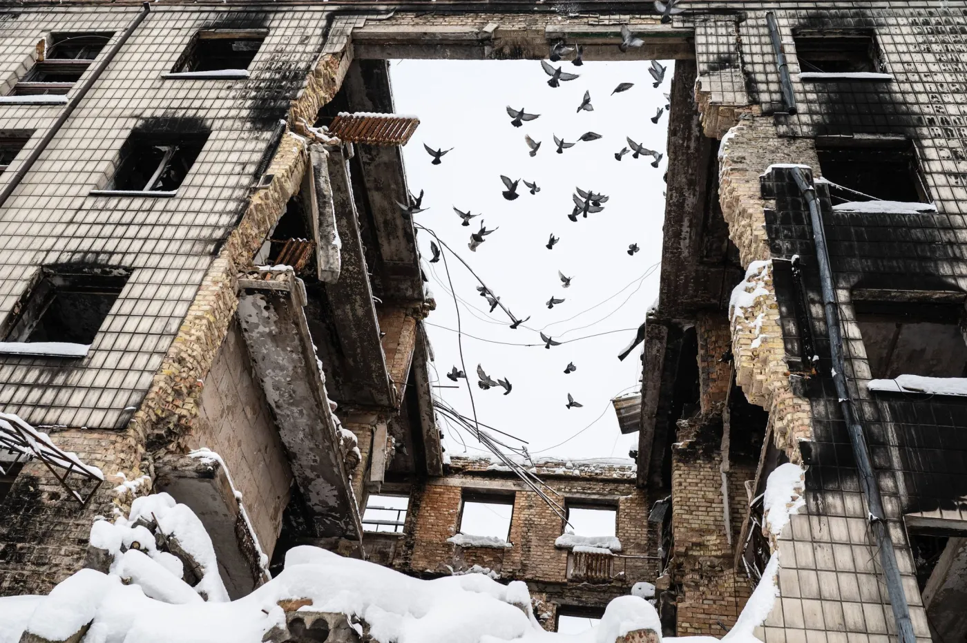 Zniszczone po rosyjskim ataku miasto Borodzianka k. Kijowa