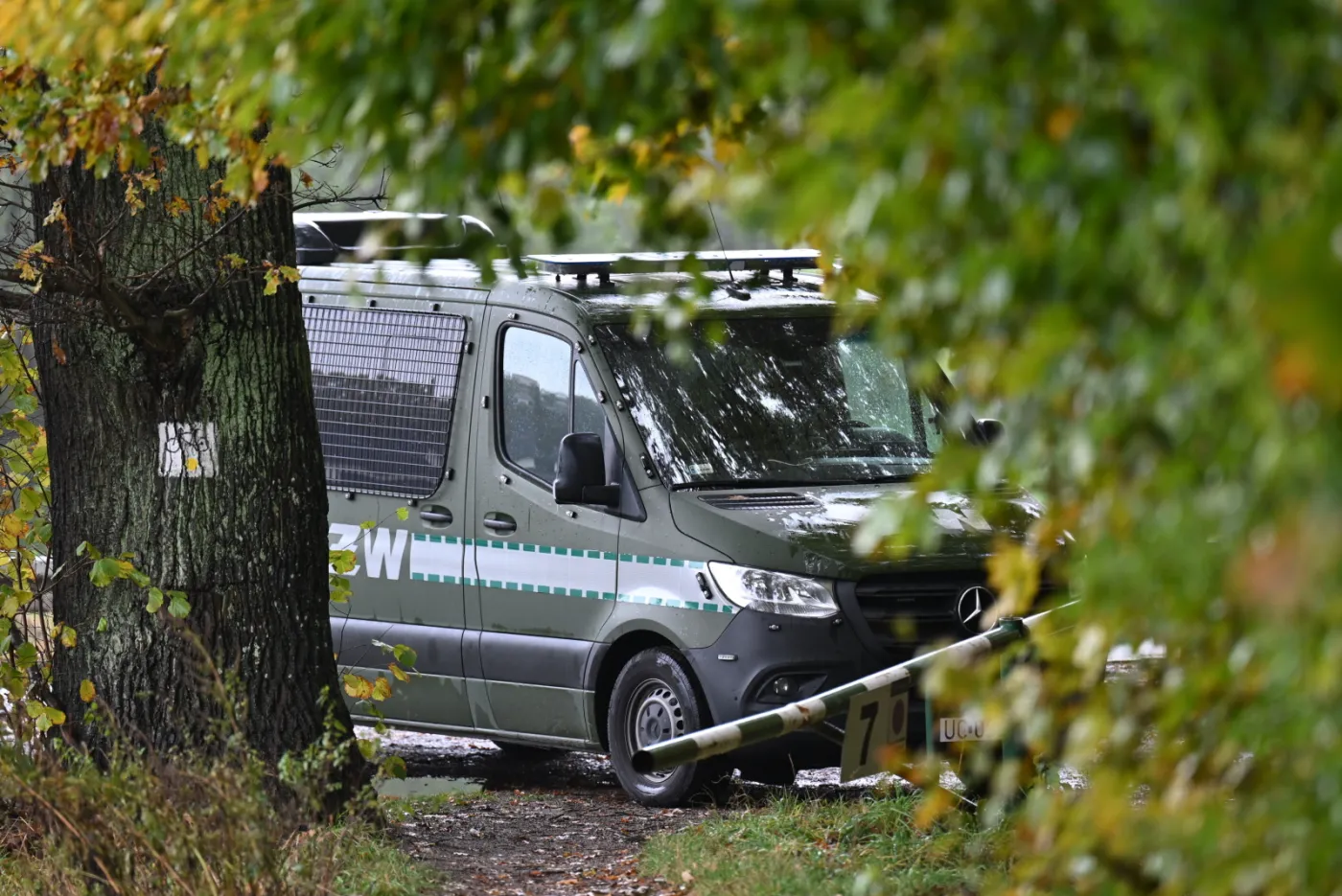 Poszukiwania Grzegorza Borysa. "Był widziany przez dwóch żandarmów"