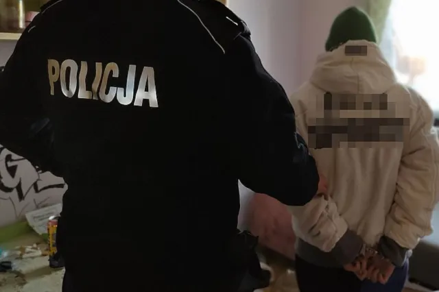 Malbork. Wyjechała na sylwestra, zostawiła szynszylę i psy. Usłyszała zarzut