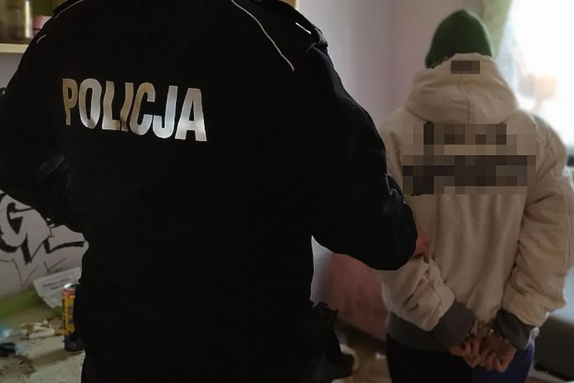 Malbork. Wyjechała na sylwestra, zostawiła szynszylę i psy. Usłyszała zarzut