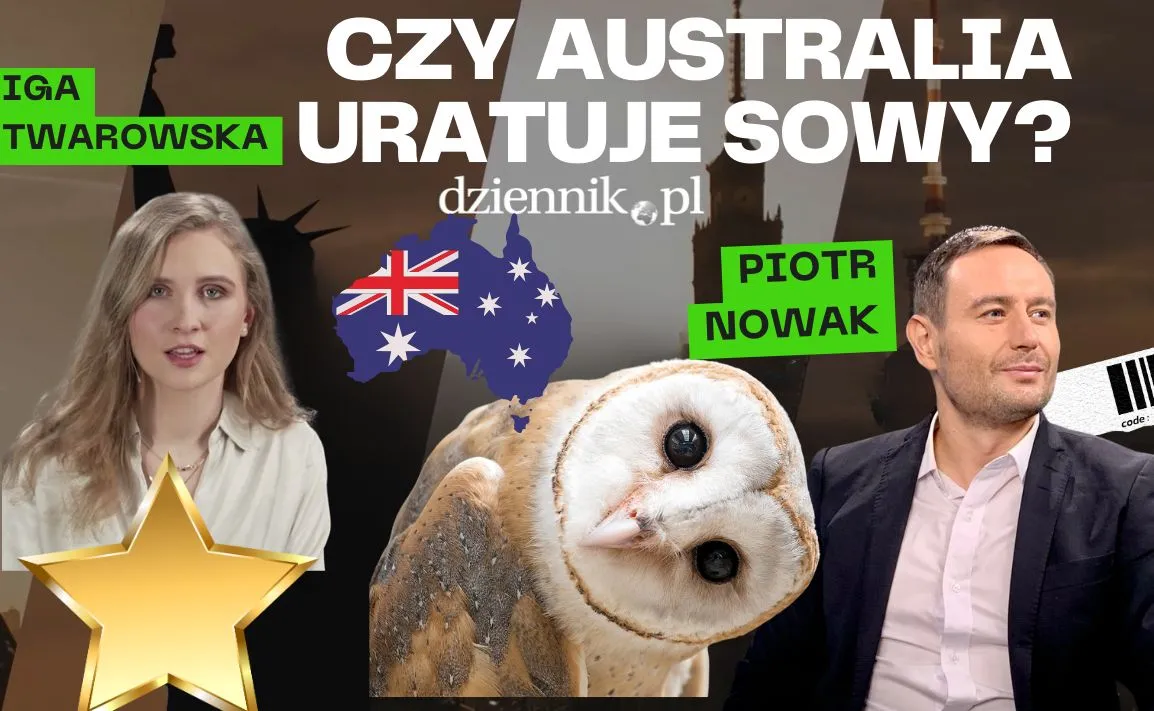 Czy Australia uratuje sowy? Międzynarodowy Przegląd Prasy