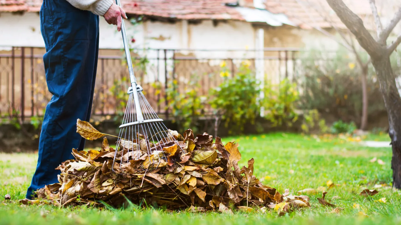 W listopadzie warto zastosować na trawniku tzw. mulczowanie