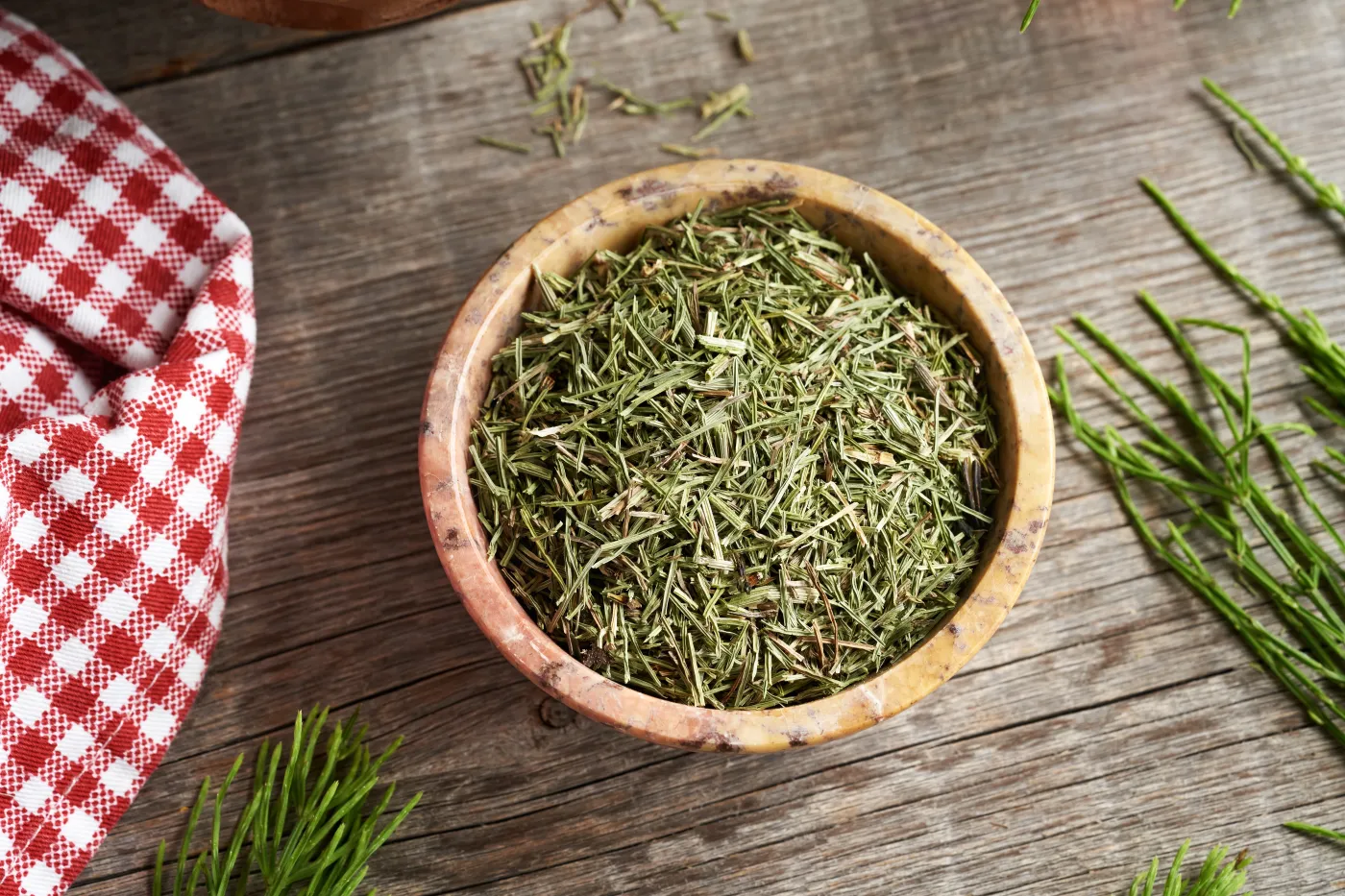 A,Bowl,Of,Dried,Horsetail,Herb,With,Fresh,Equisetum,Plant