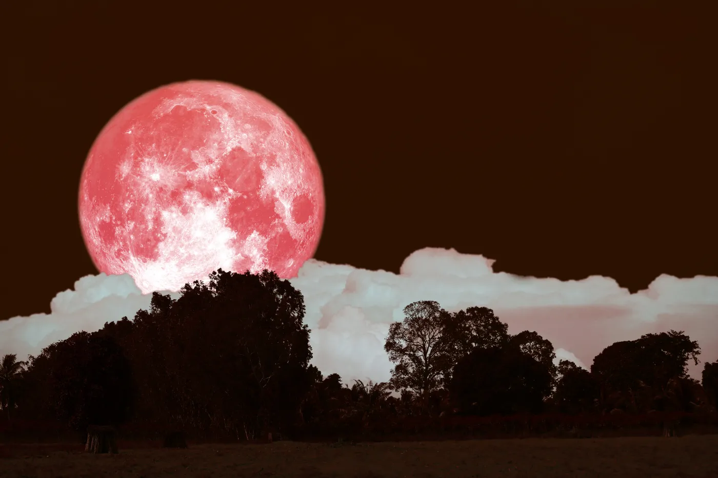 Pełnia Truskawkowego Księżyca, pełnia, truskawkowy księżyc