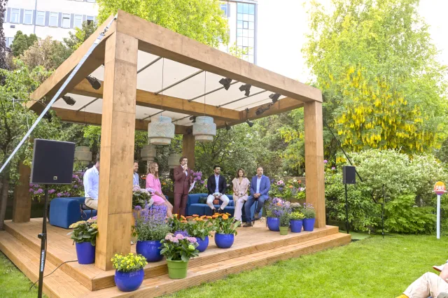 Wielki powrót do "Pytania na śniadanie". "Historia zatacza koło"