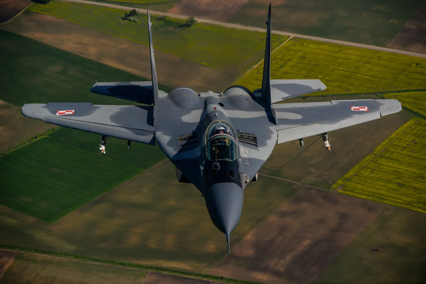 Niemiecki dziennik: NATO zawiodło na całej linii. Kto strzela rakietą za milion w drona z dykty?