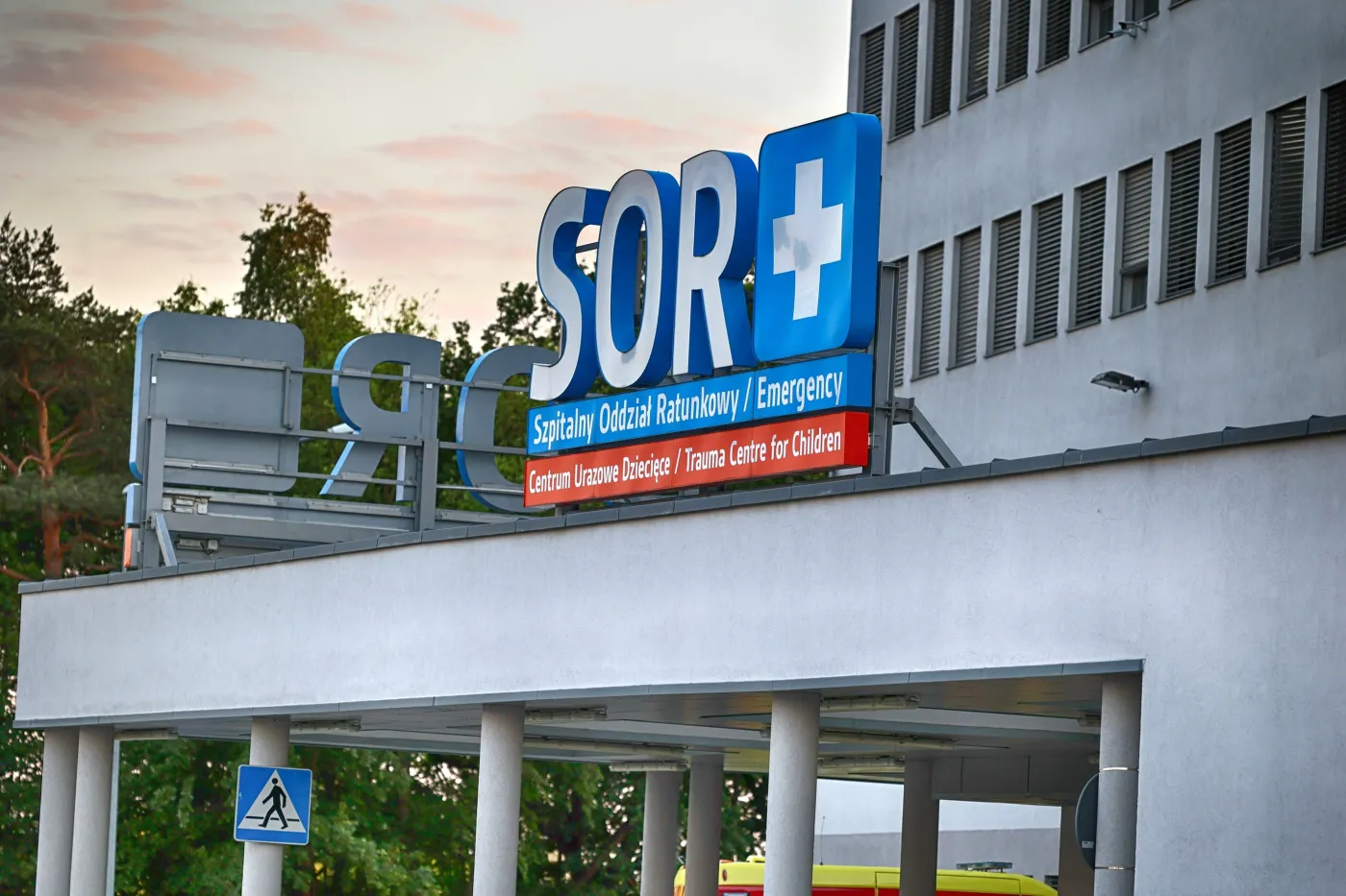 Sanepid alarmuje po tragedii na Warmii. Uważaj, co zbierasz w lesie i na łące