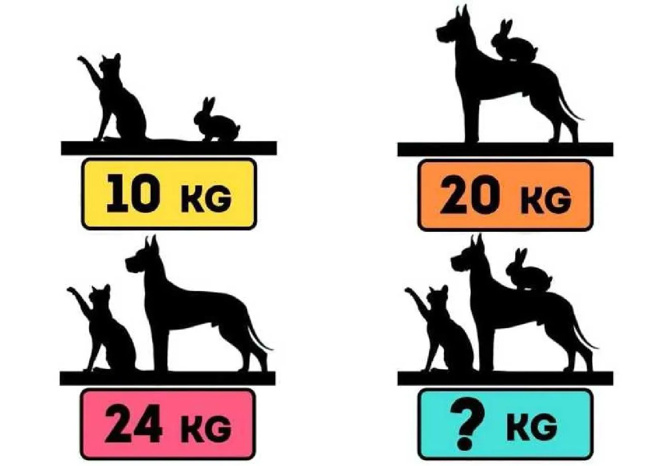 Masz umysł jak brzytwa? Sprawdź, czy rozwiążesz tę zagadkę