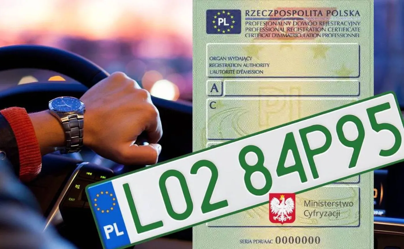 Profesjonalna zielona tablica rejestracyjna i dowód rejestracyjny dla aut używanych